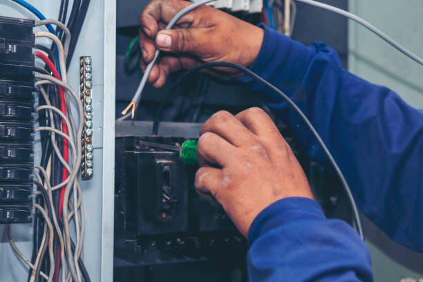 Best Ceiling Fan Installation Electrician  in Norfolk, VA
